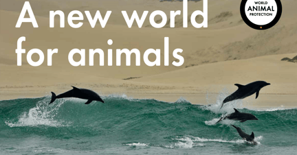 A new world for animals-