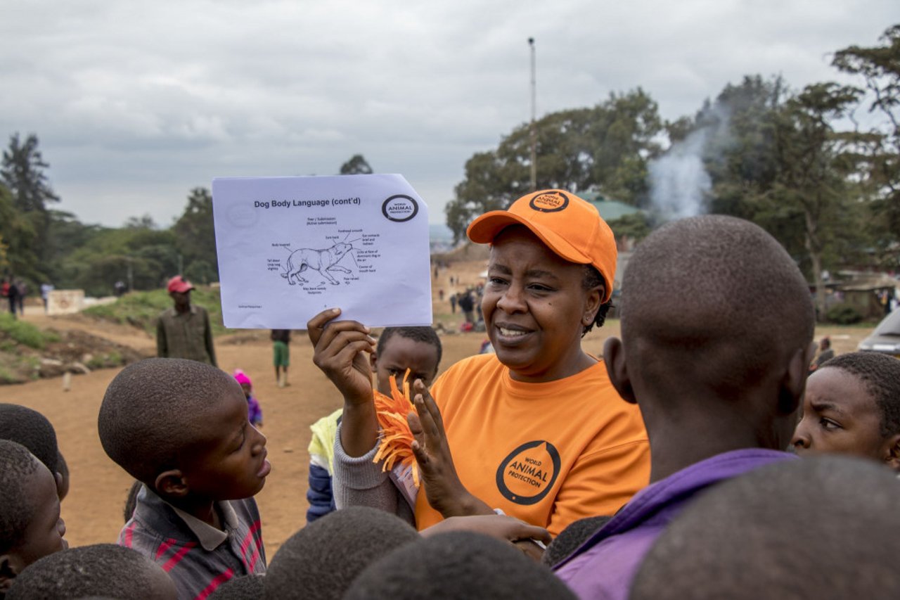 Dr. Emily Mudoga, Animal Companion Campaign Manager, educates a group of local children on how to safely handle animals in the Kibera slum town Nairobi, Kenya. Credit Line: World Animal Protection
