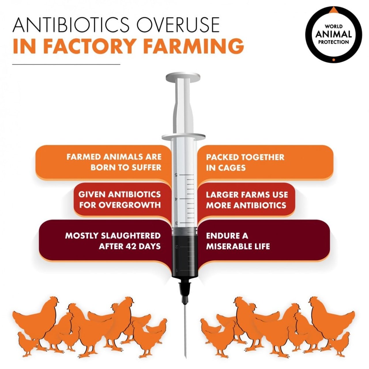 antibiotics overuse in factory farming