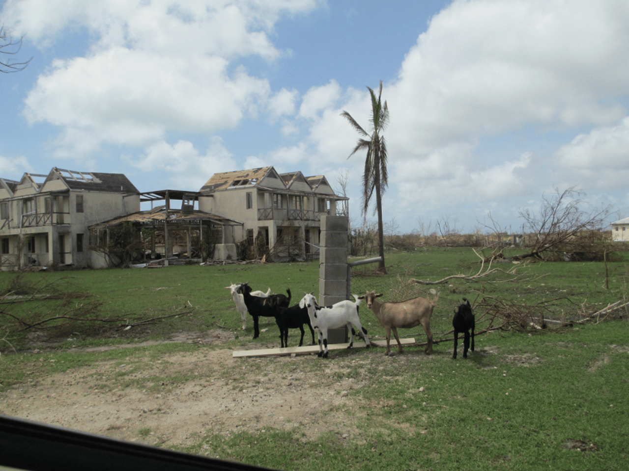 antigua