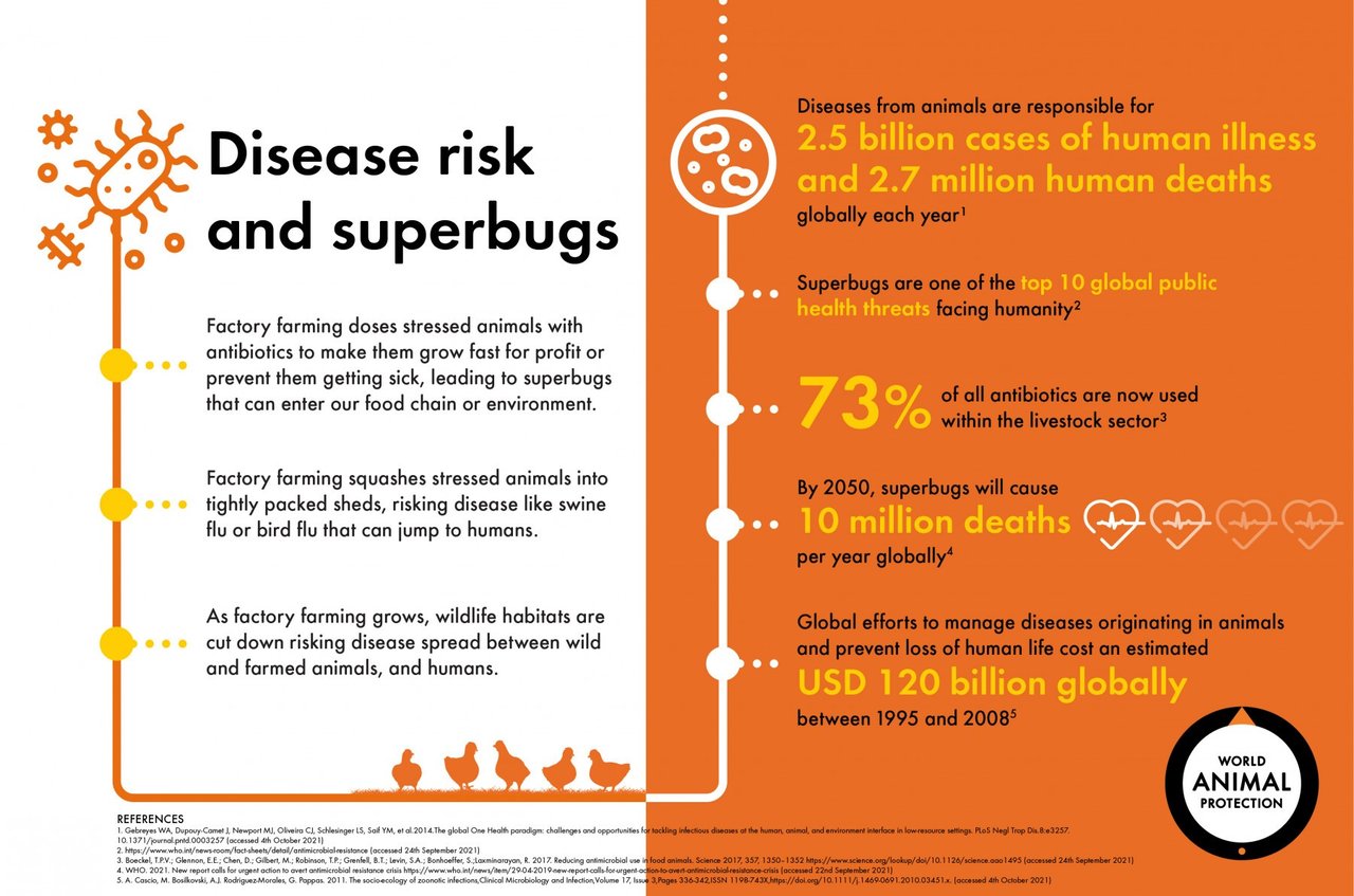 Hidden-Health-Impact-Infographic-150dpi_B