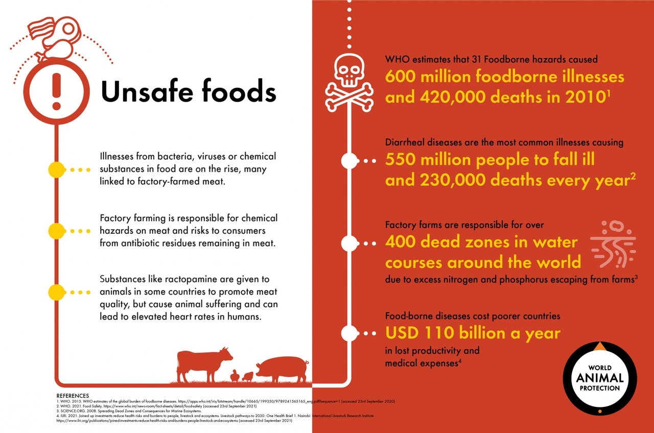 Hidden-Health-Impact-Infographic-150dpi_C