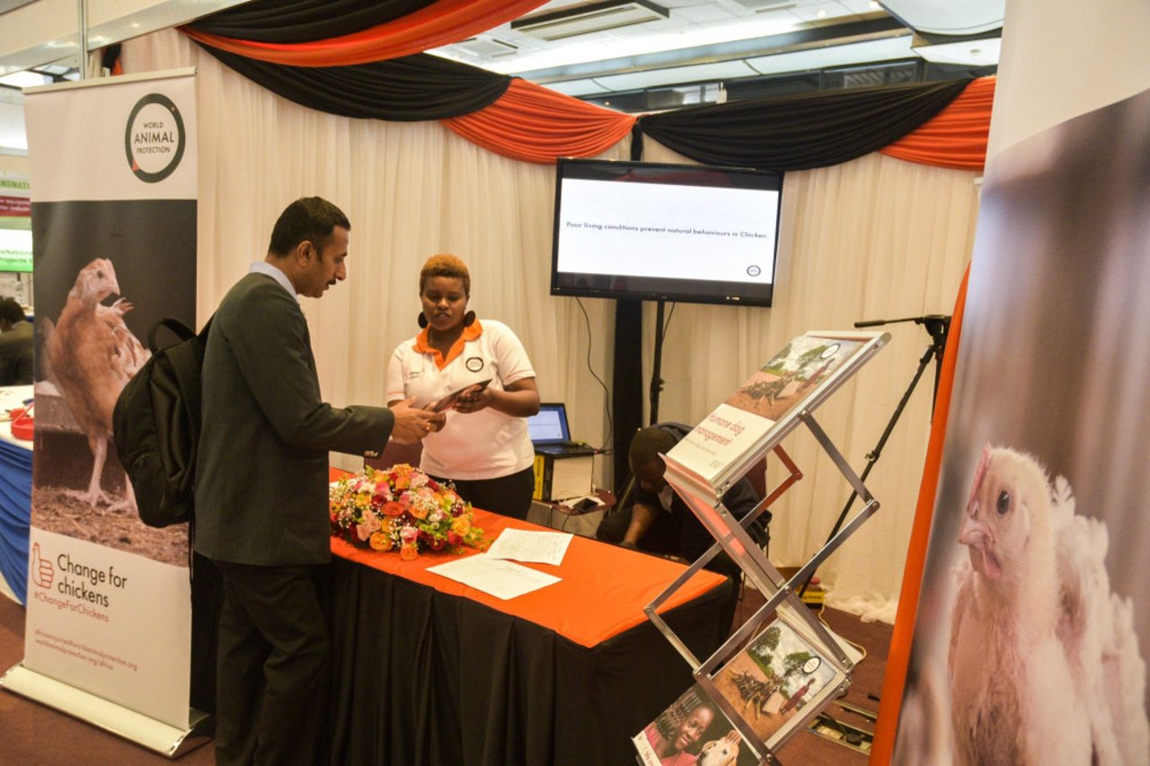 rose_carolin_from_world_animal_protection_shares_reading_materials_with_a_participant_at_the_aviana_poultry_and_livestock_expo_on_7th_july_2017_1