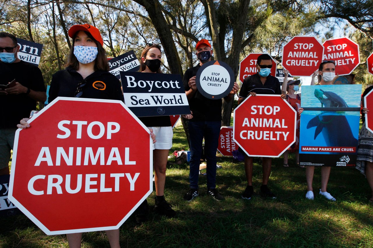 Peaceful protest at Sea World Australia