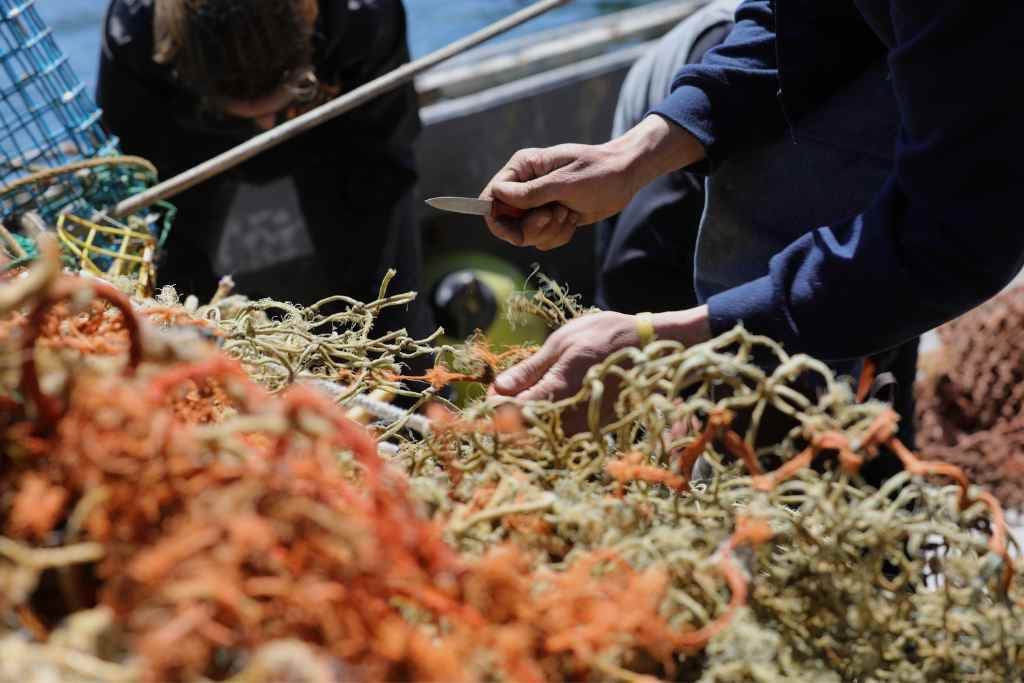 An image of two hand with a small knife cutting brown and orange netting on what appears to be a fisherman's boat.