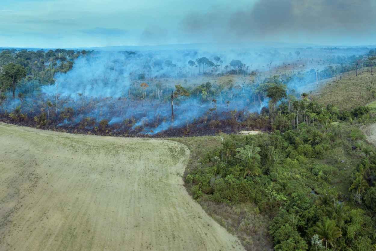 An aerial image of a burning forest that is up in smoke. Land for agriculture is seen beside it.