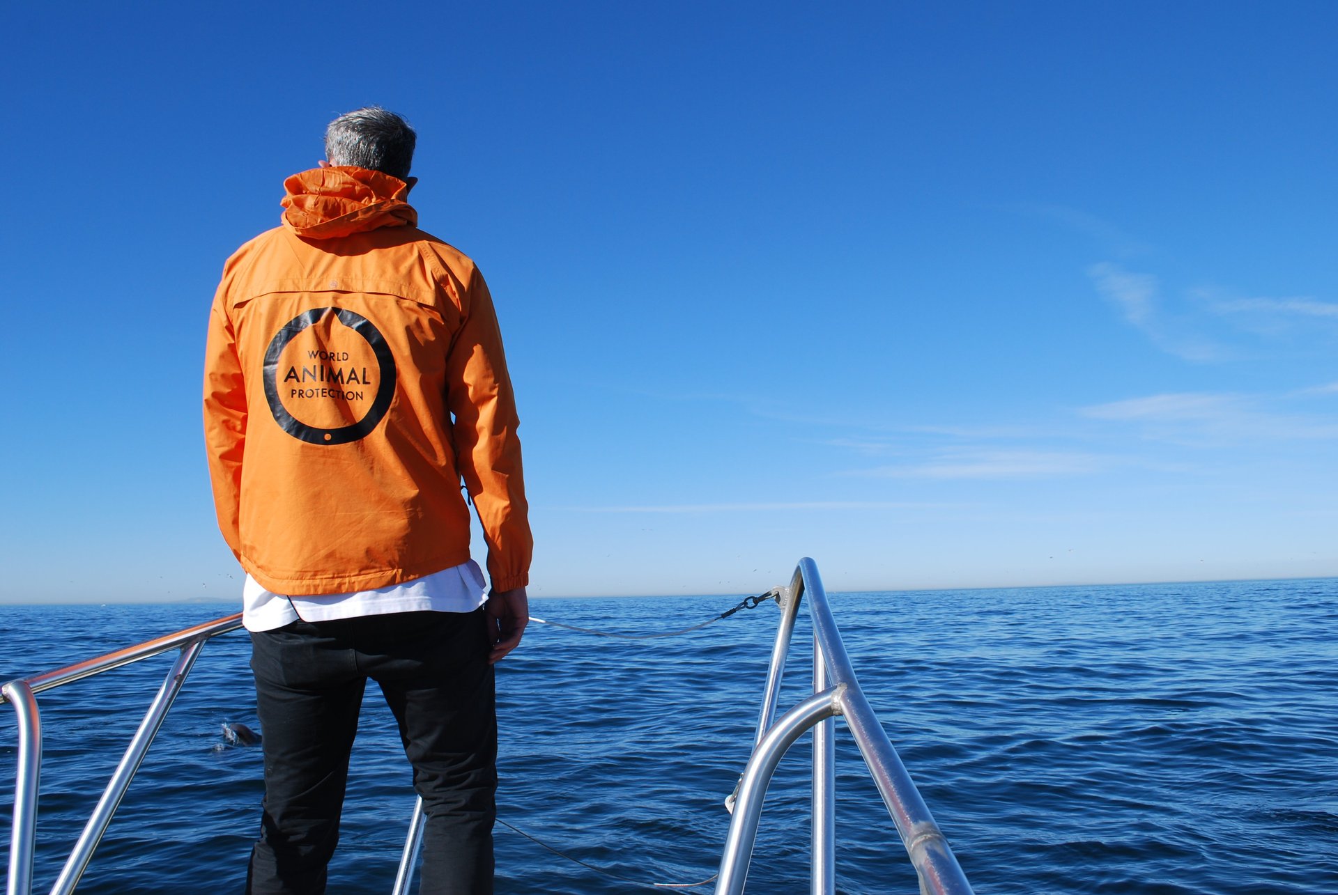 Ben Williamson at Whale Heritage Site, Dana Point California