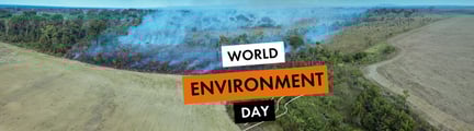 Environment Day