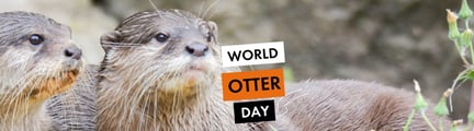 Otter Day