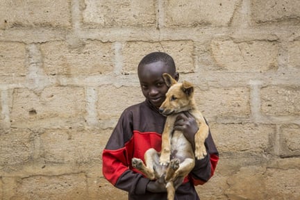 Boy with dog