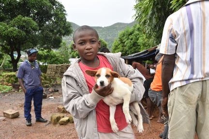 Photo from dog vaccination drive in Freetown, Sierra Leone 