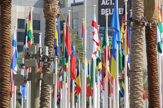 An image of several country flags are seen outside a white building with palm trees.
