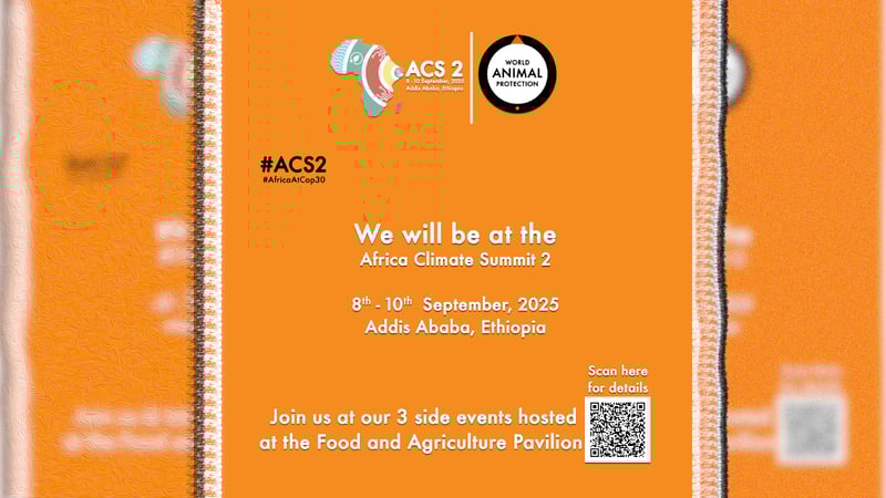 Climate Summit 25