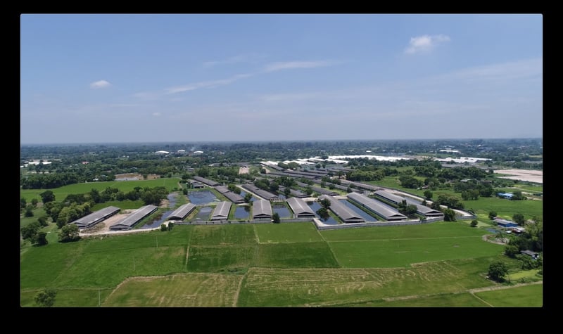 Factory Farm aerial view