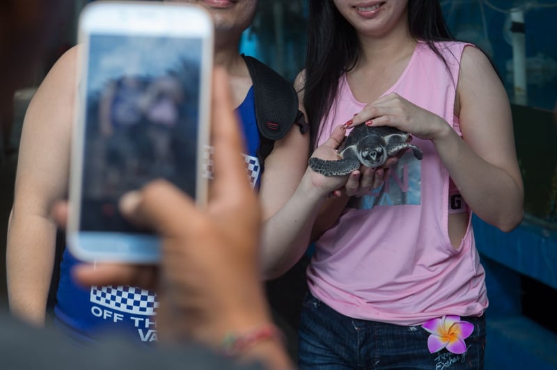 Tourists take a picture when visiting Bali