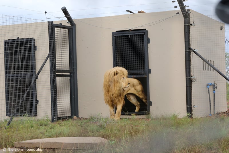 Mannie in SA